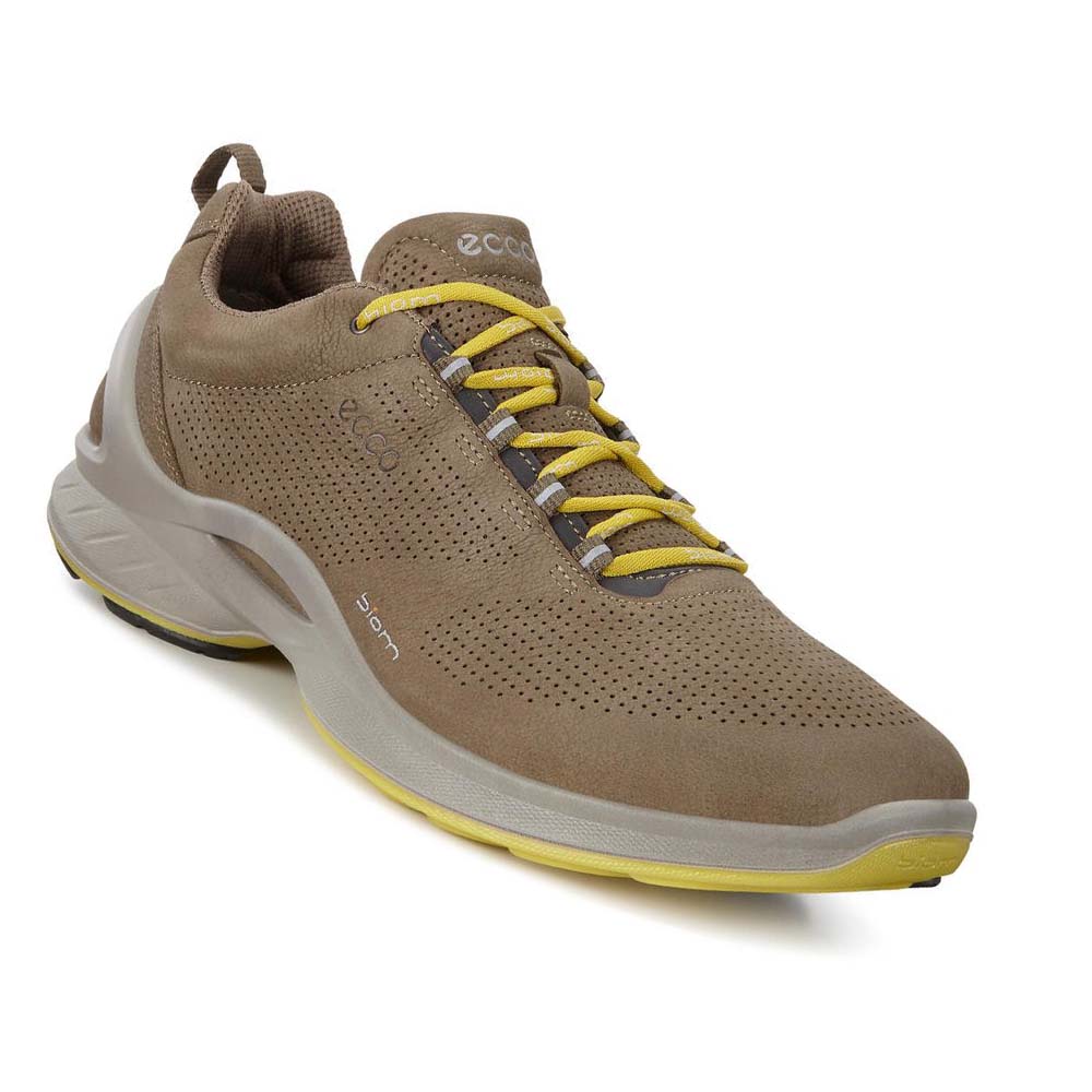 Ecco Mens Biom Fjuel Perf Hiking & Trail Herre Brune | NO 568JPQ